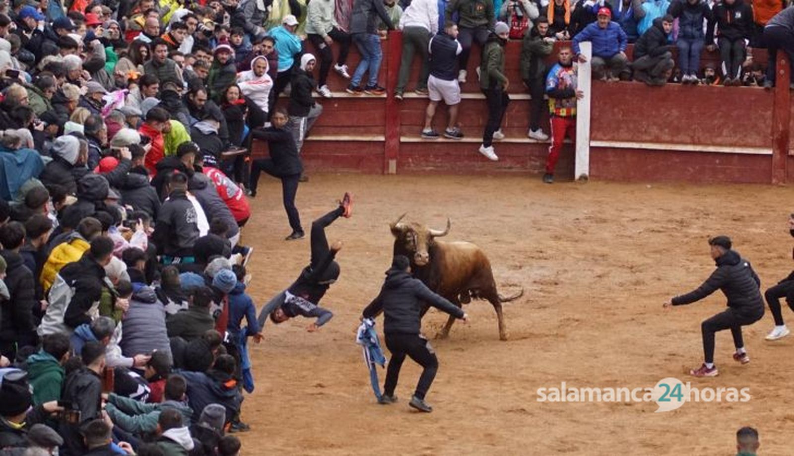Cogida en el Carnaval del Toro. Foto: Juanes
