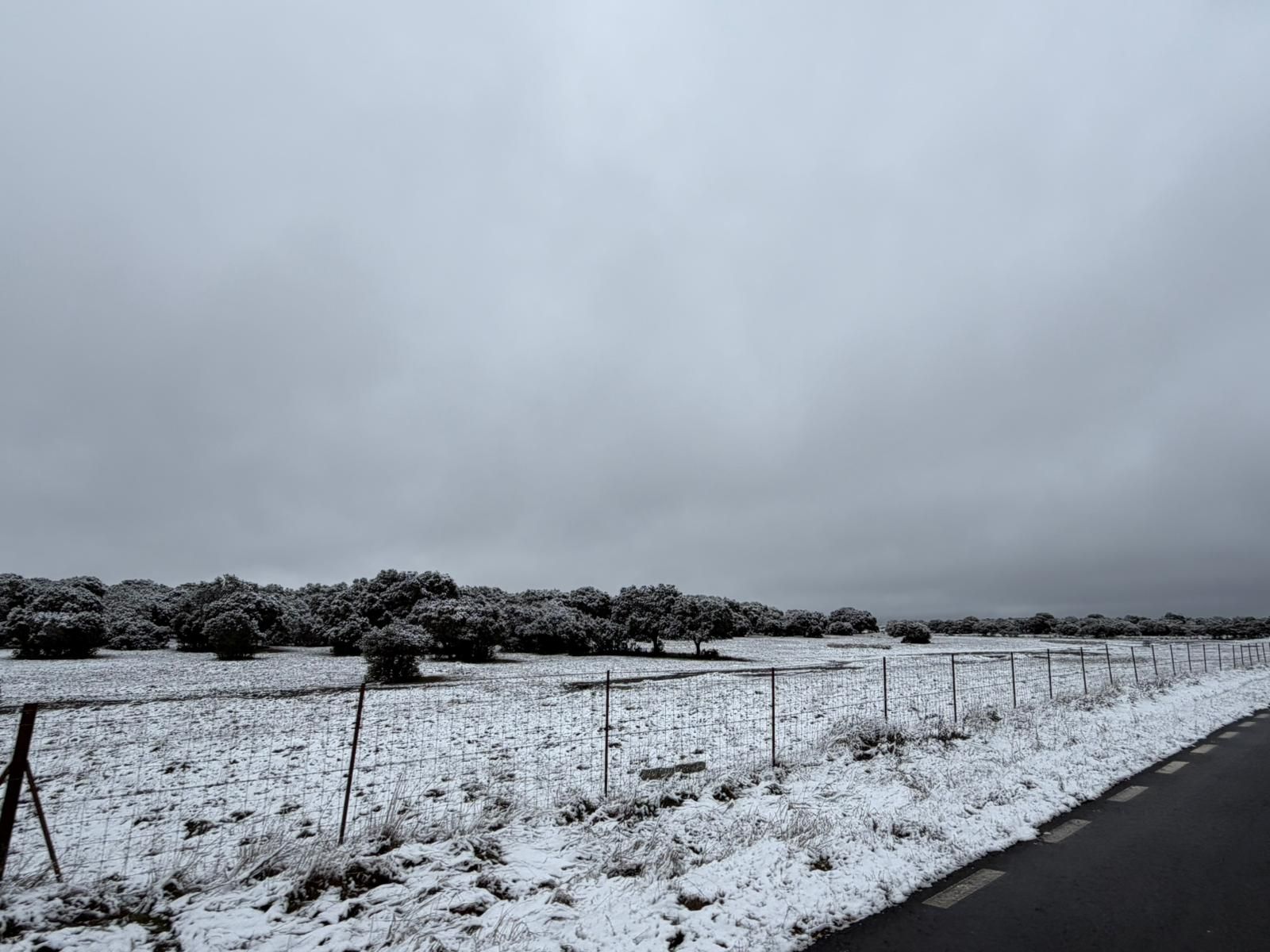 Nieve en Cuatro Calzadas, Pereña y Guijuelo este sábado