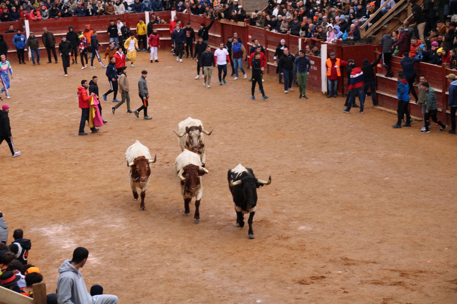 ambiente-durante-el-encierro-urbano-de-ciudad-rodrigo-sabado-10-de-febrero-fotos-s24h-94