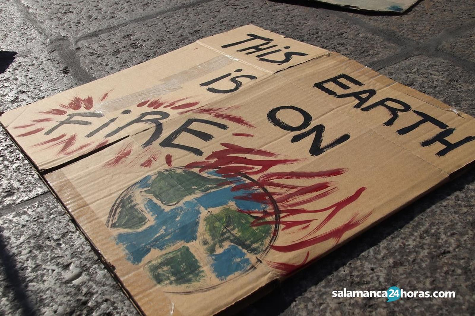 Fridays for future (2) (Copy)