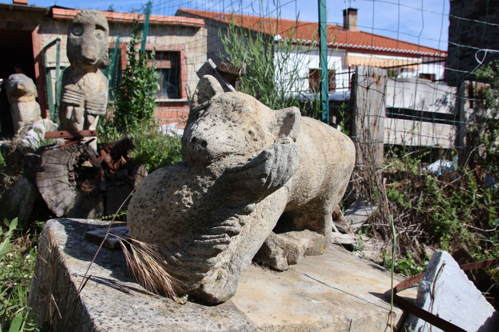 20230614092730-img-2674