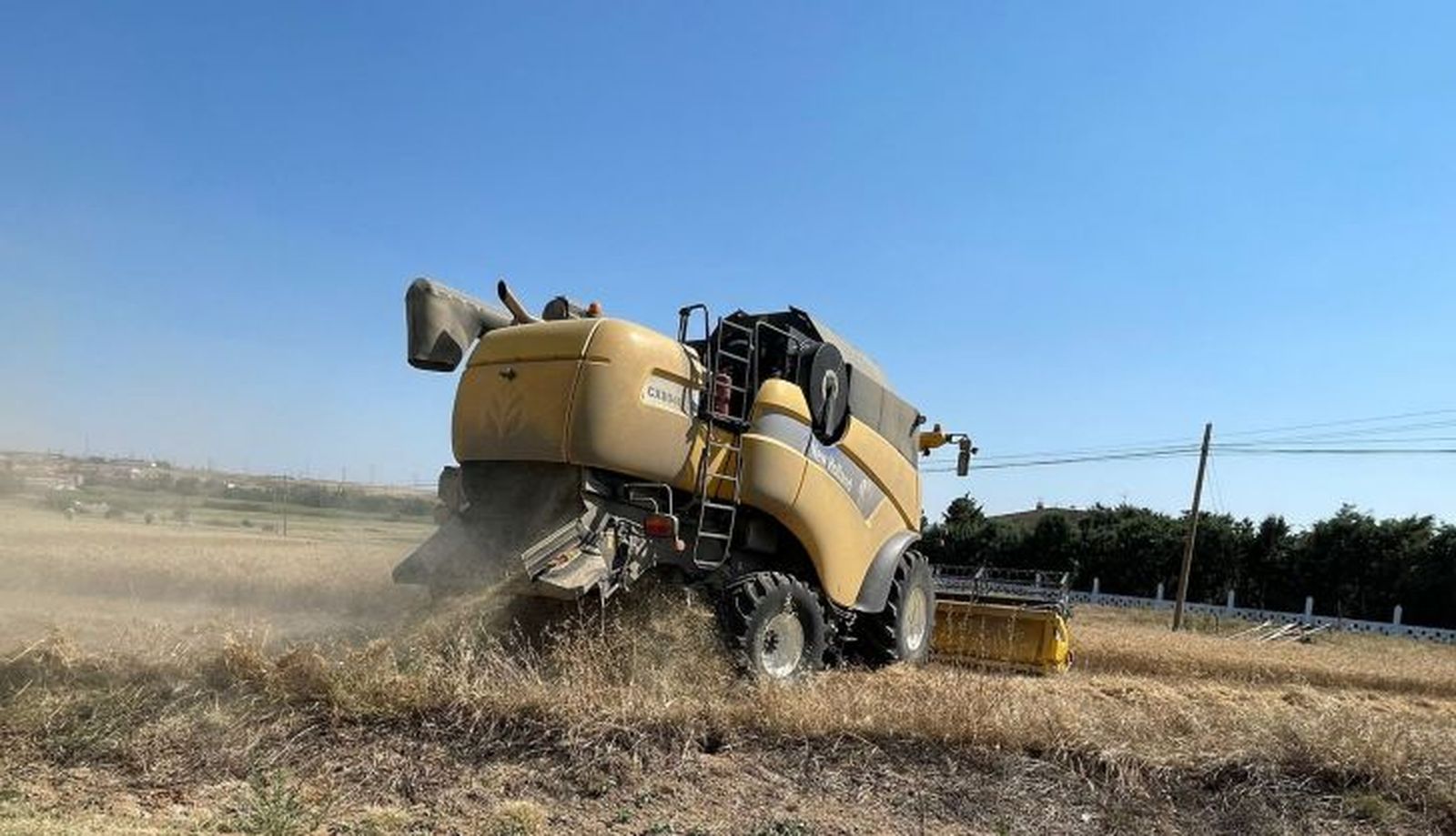 Cosecha de cereales en La Armuña 2021 
