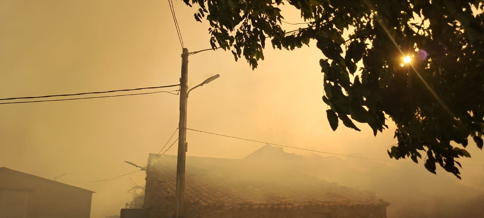 El incendio de Cipérez arrasa Cerezal de Puertas (11).jpeg