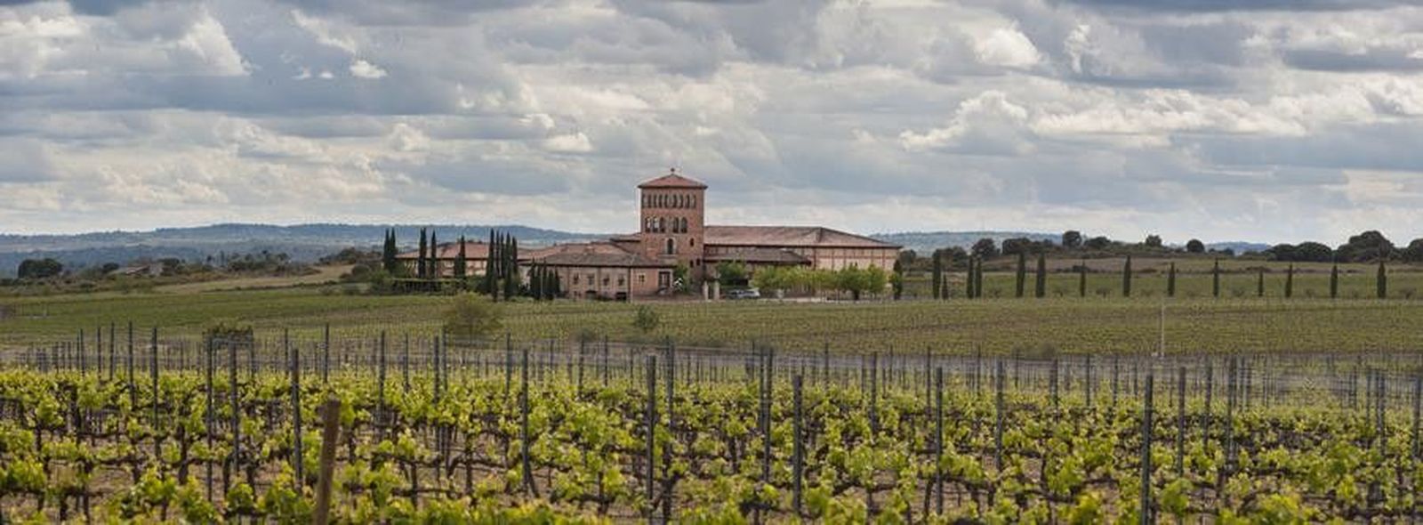 J.PASCUAL Viñedo y bodega Fermoselle (Copy)