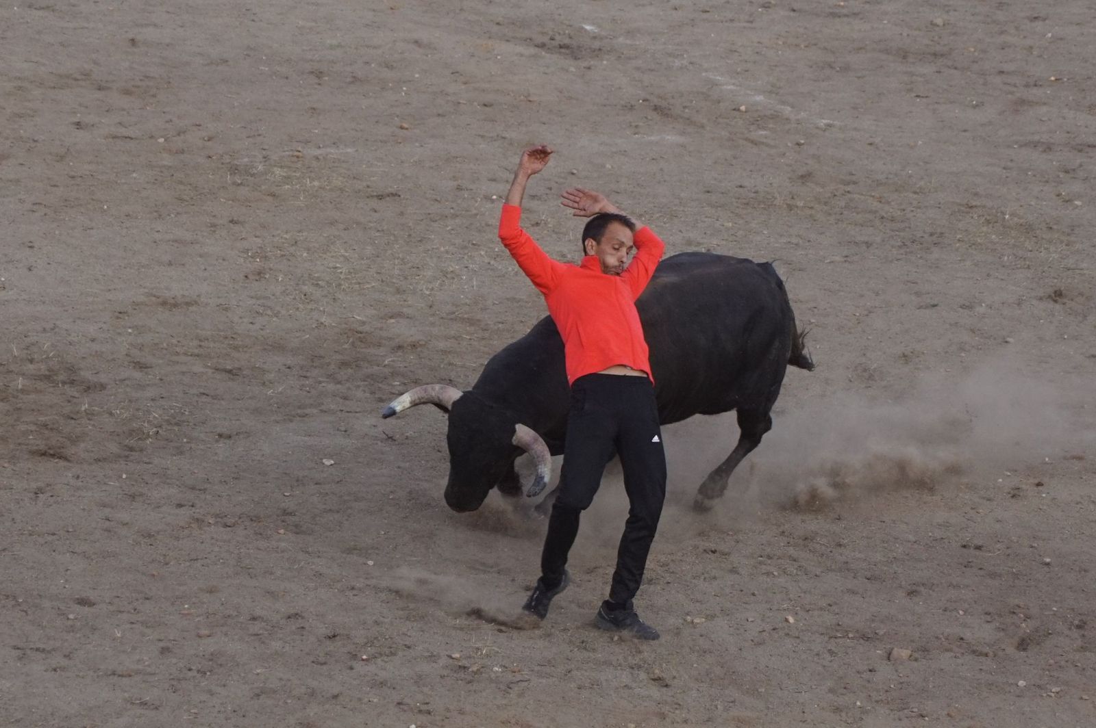Carreras, risas y tradición: así se ha vivido El Toro en Santa Marta