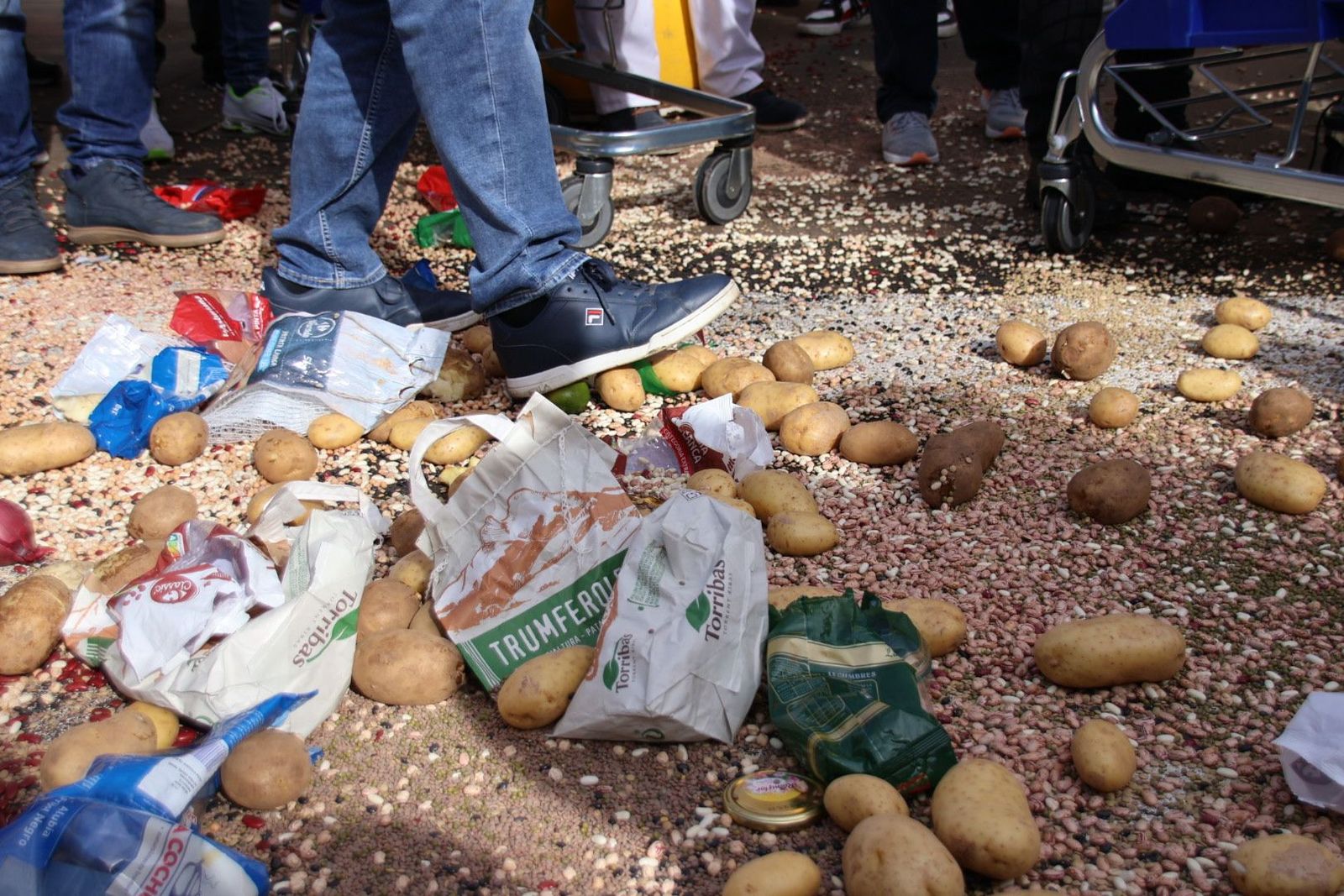 20240214112845-img-6379