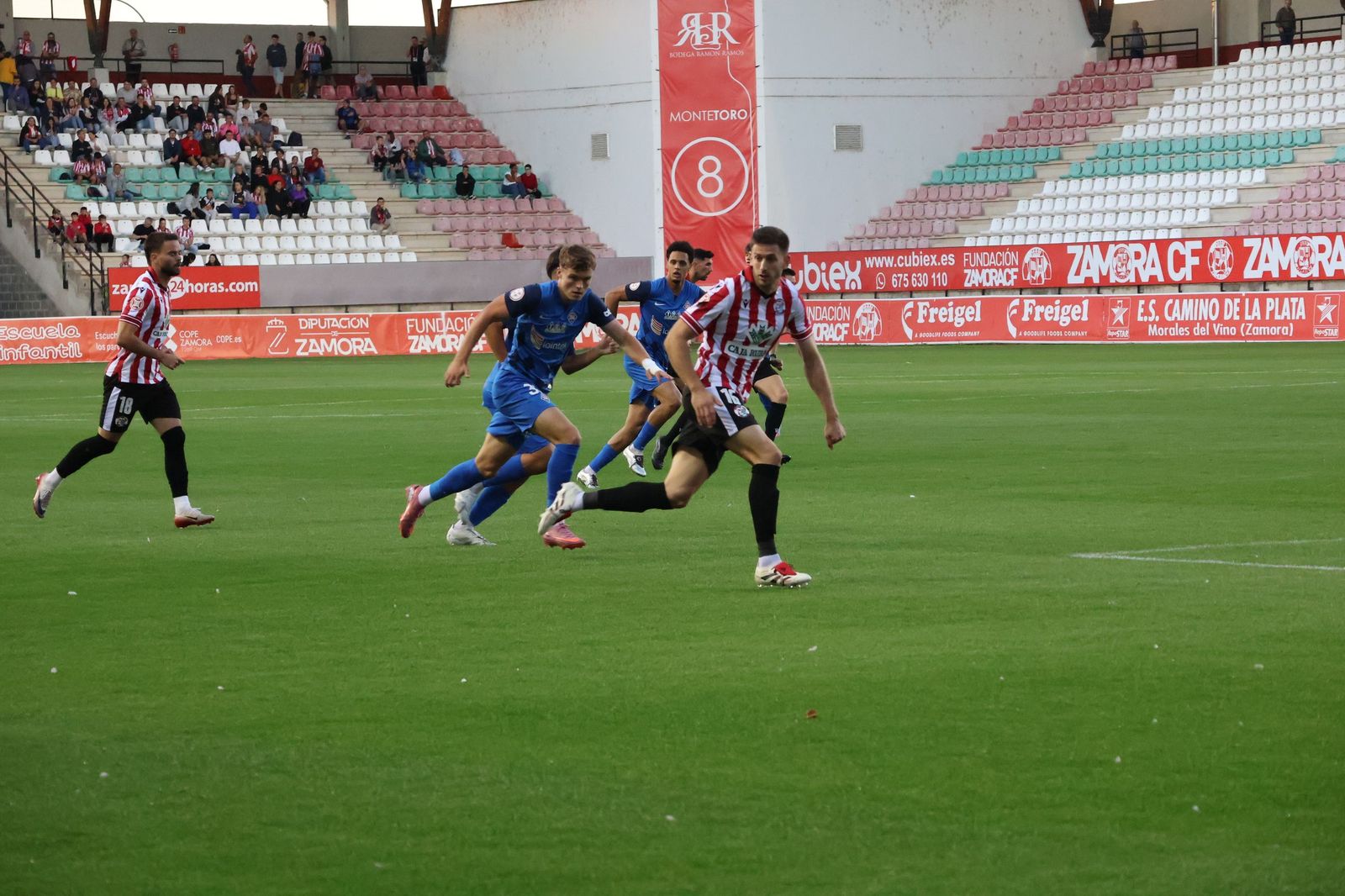 Zamora CF - SD Amorebieta Copa Federación