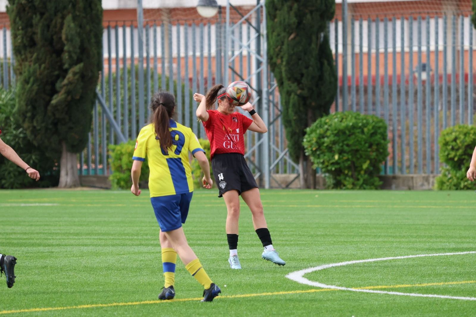 20240406104101-img-6489