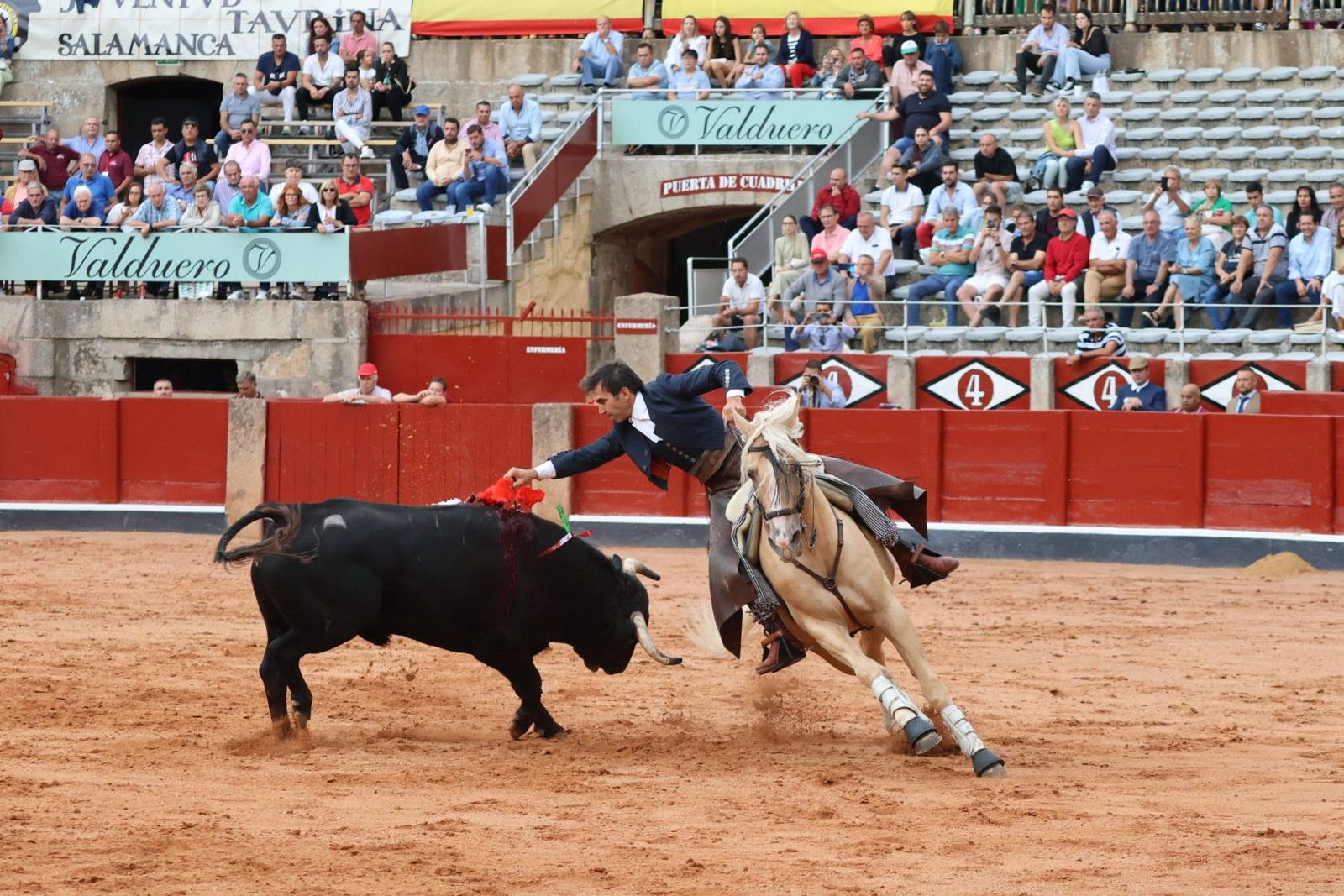 20230909184707-img-0746