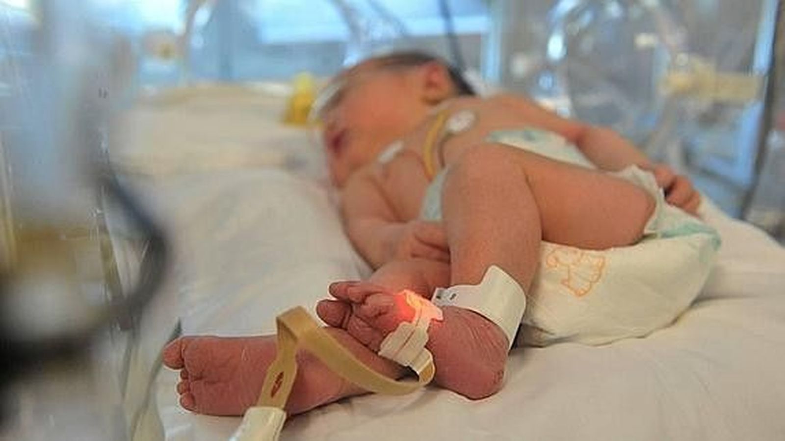 Castilla y León, pionera en detección precoz de cardiopatías congénitas en bebés
