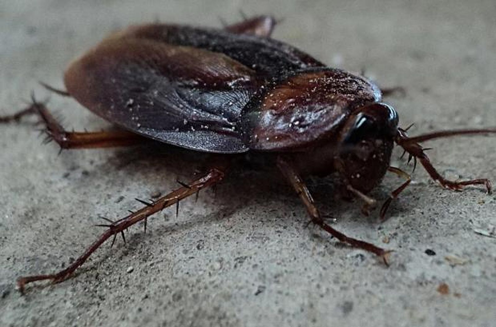 Captura de pantalla 2019 11 25 a las 18.41.51