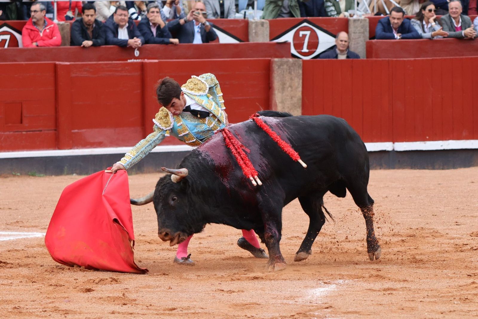 20230921172101-img-7877