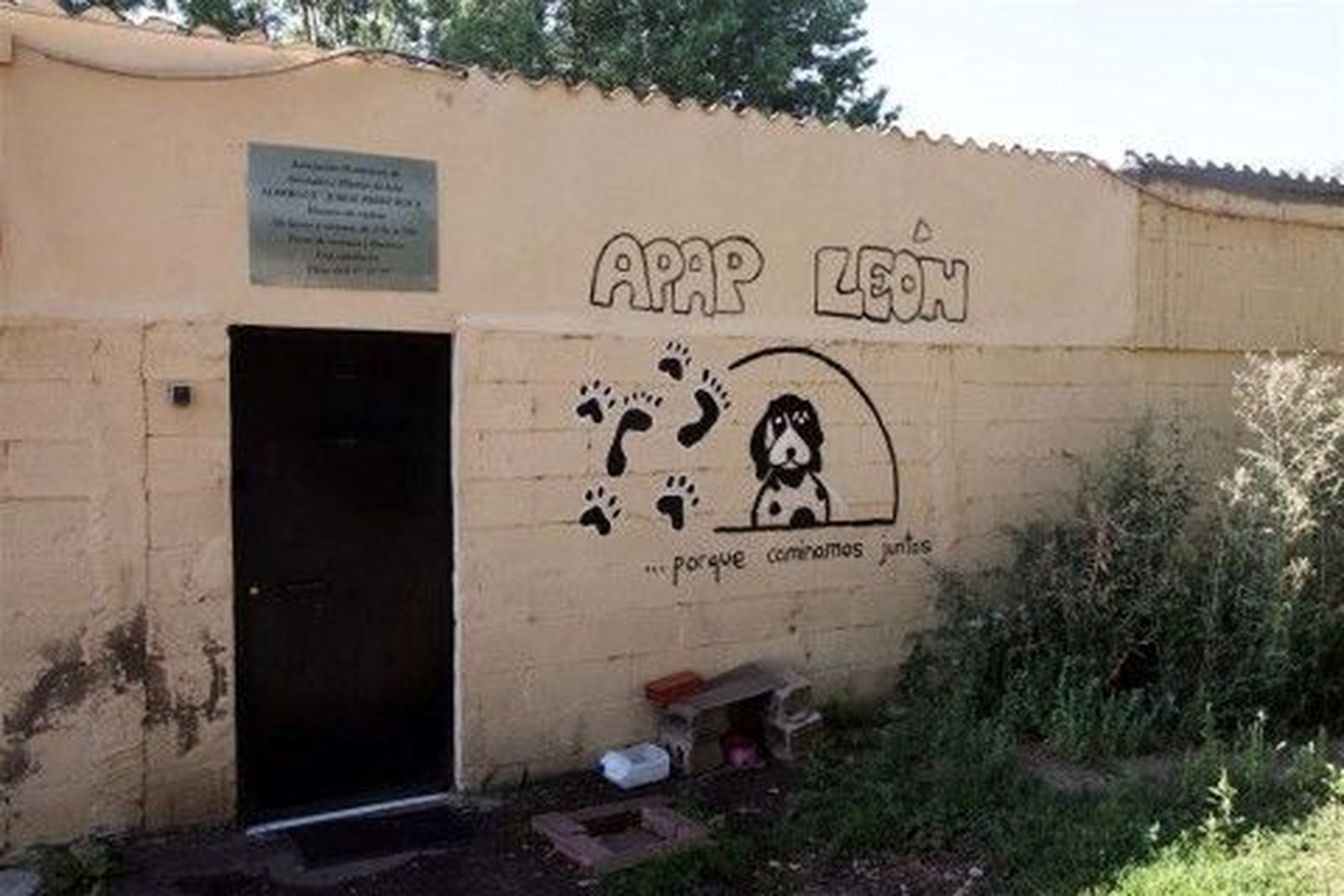 249 mascotas han sido abandonadas por las calles de León desde enero