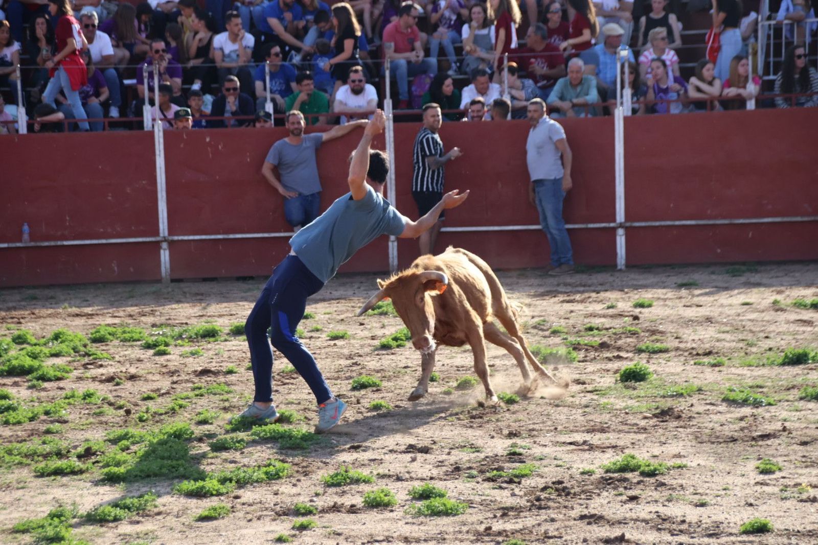 Capea y recortes en Villares