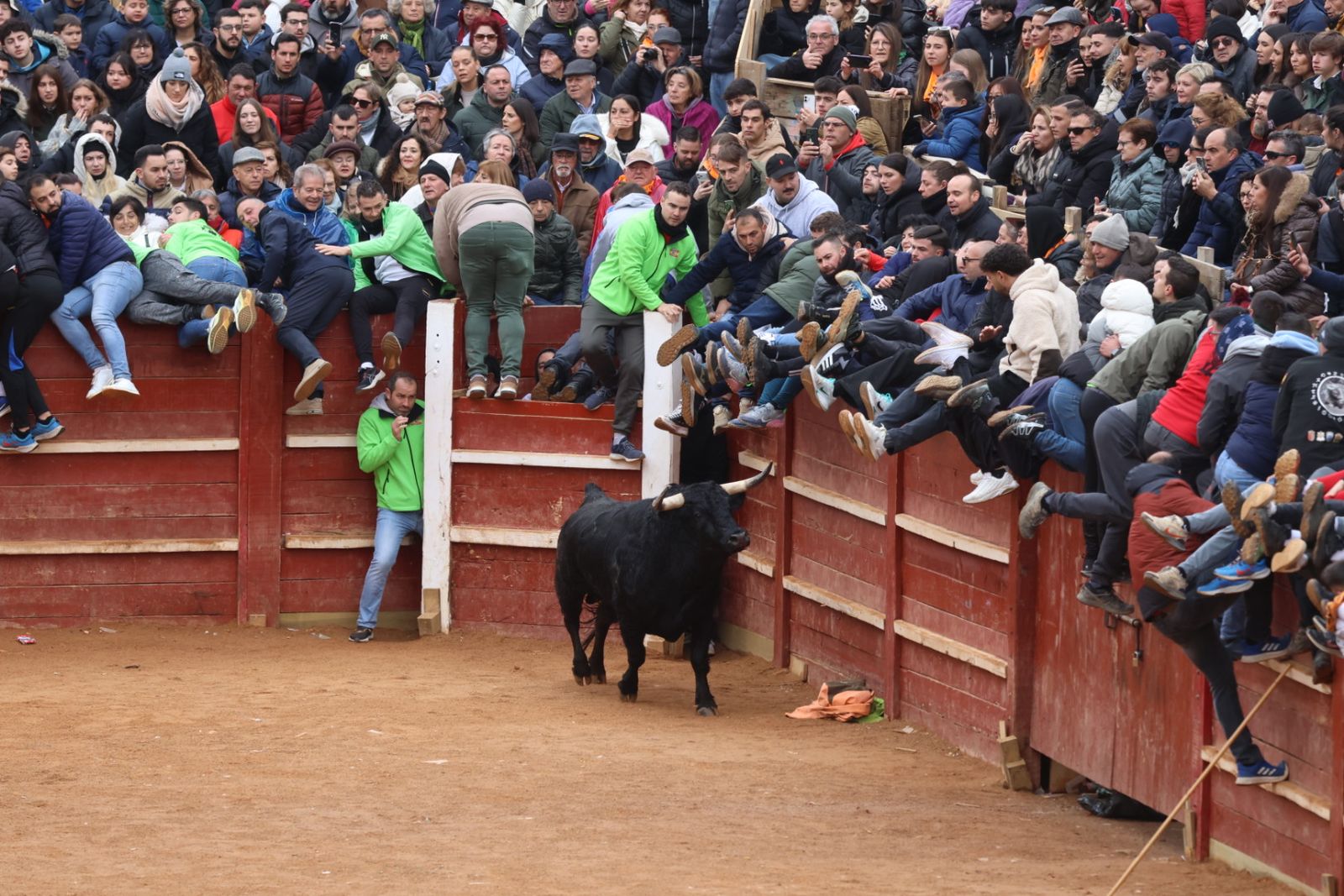 Capea de domingo en el Carnaval del Toro 2026 de Ciudad Rodrigo