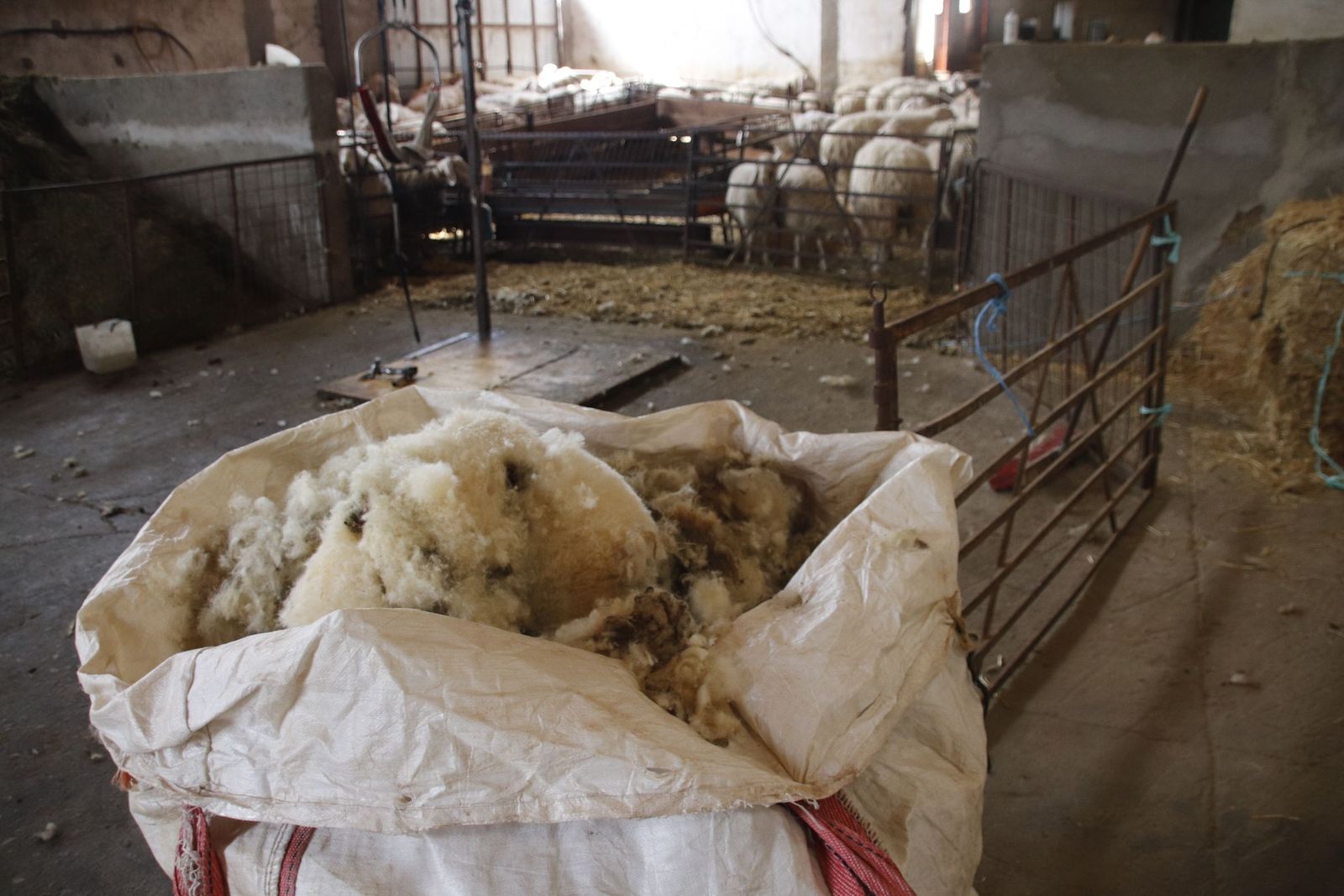 20220520101844-mg-8432