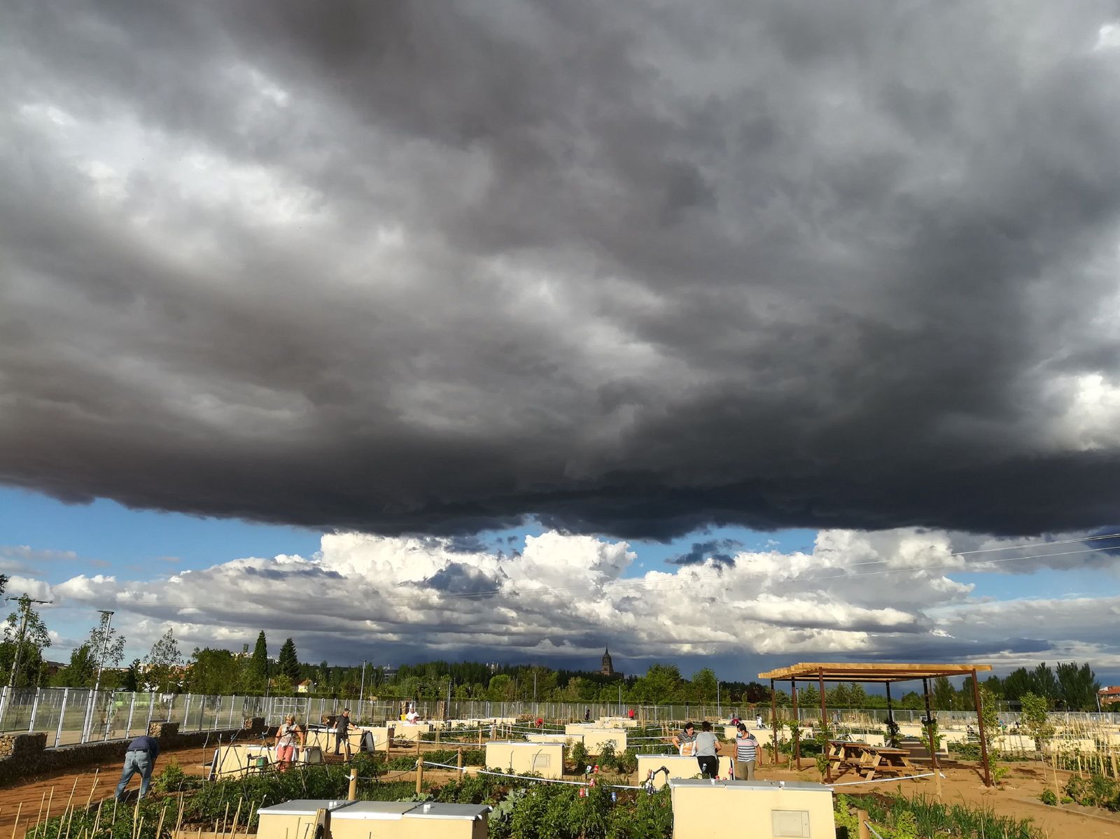 Tormenta huertos y patrimonio. Foto de archivo