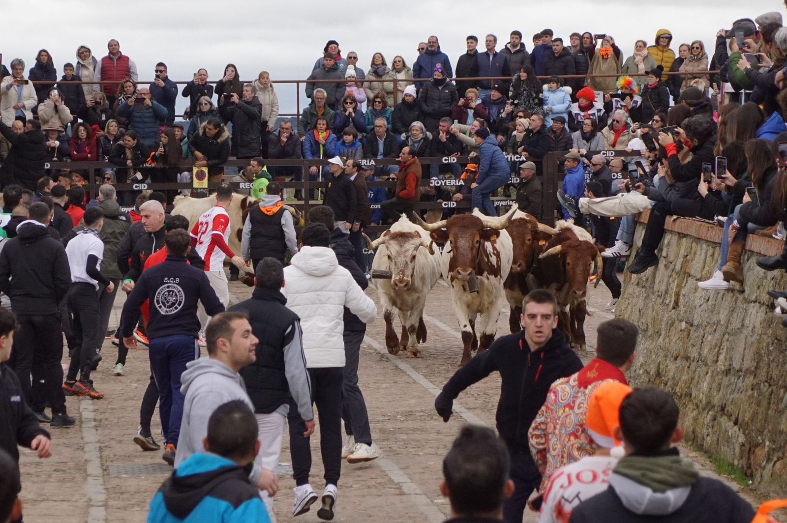 El encierro de Lunes de Carnaval en Ciudad Rodrigo en imágenes