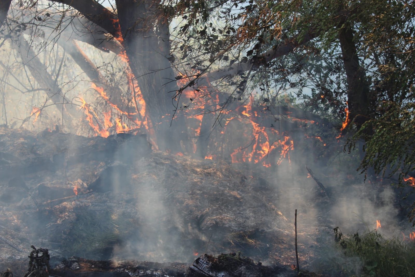 GALERÍA | Incendio en Villamayor