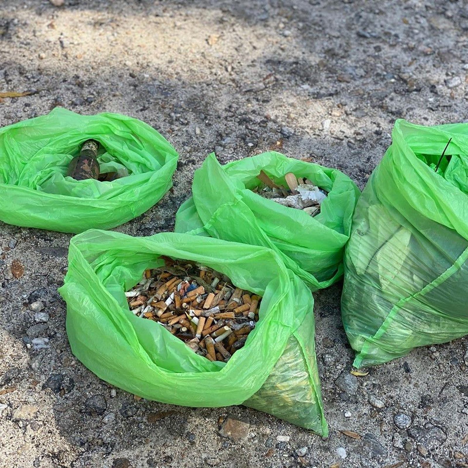 71498424 2652454431485736 6794197925044944896 n