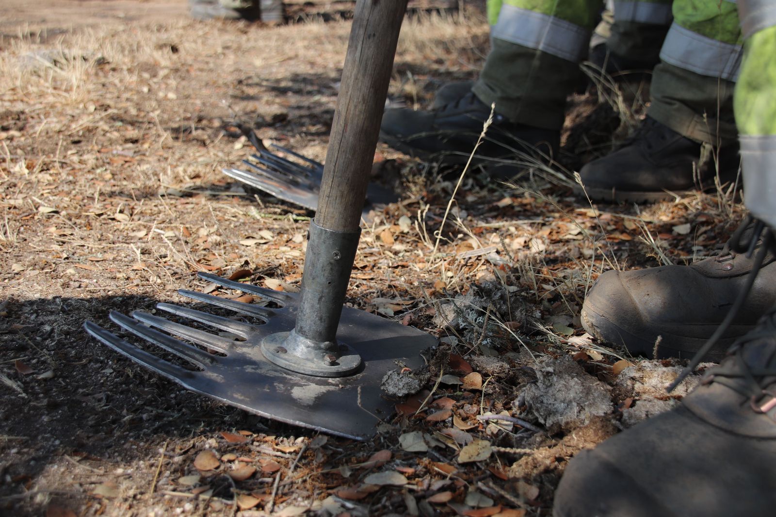 Labores de perimetraje y remate en el incendio de San Felices de los Gallegos