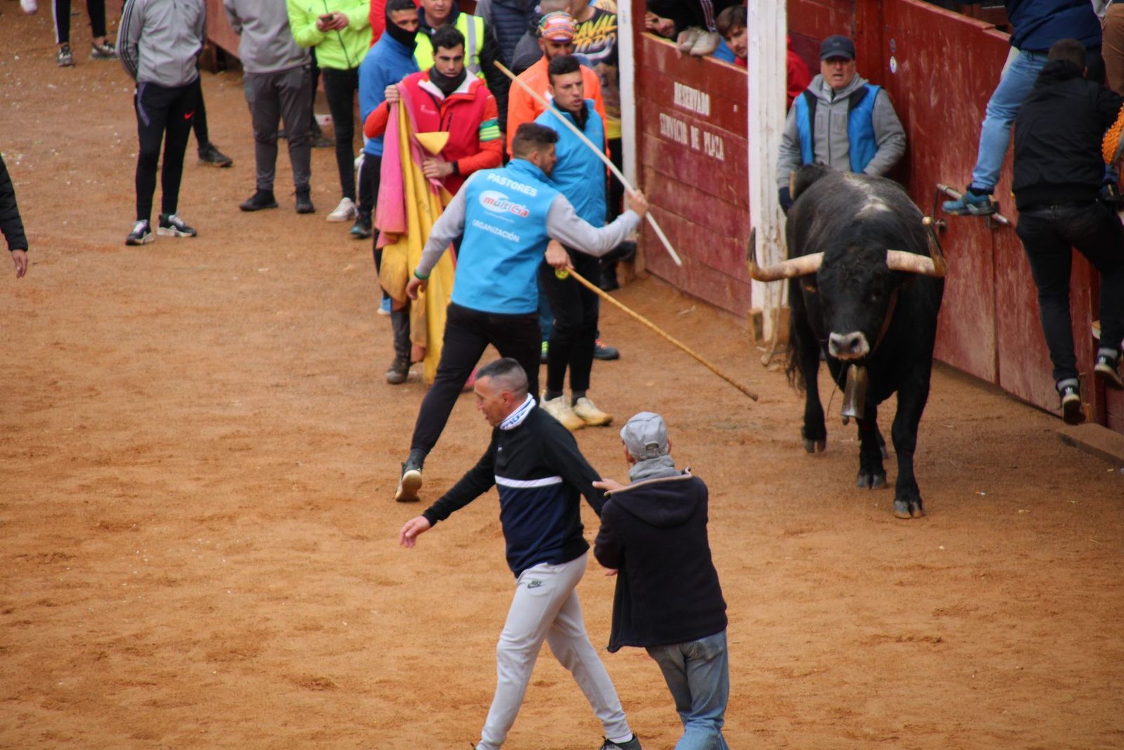 encierro-urbano-martes-de-carnaval-ciudad-rodrigo-2025-5