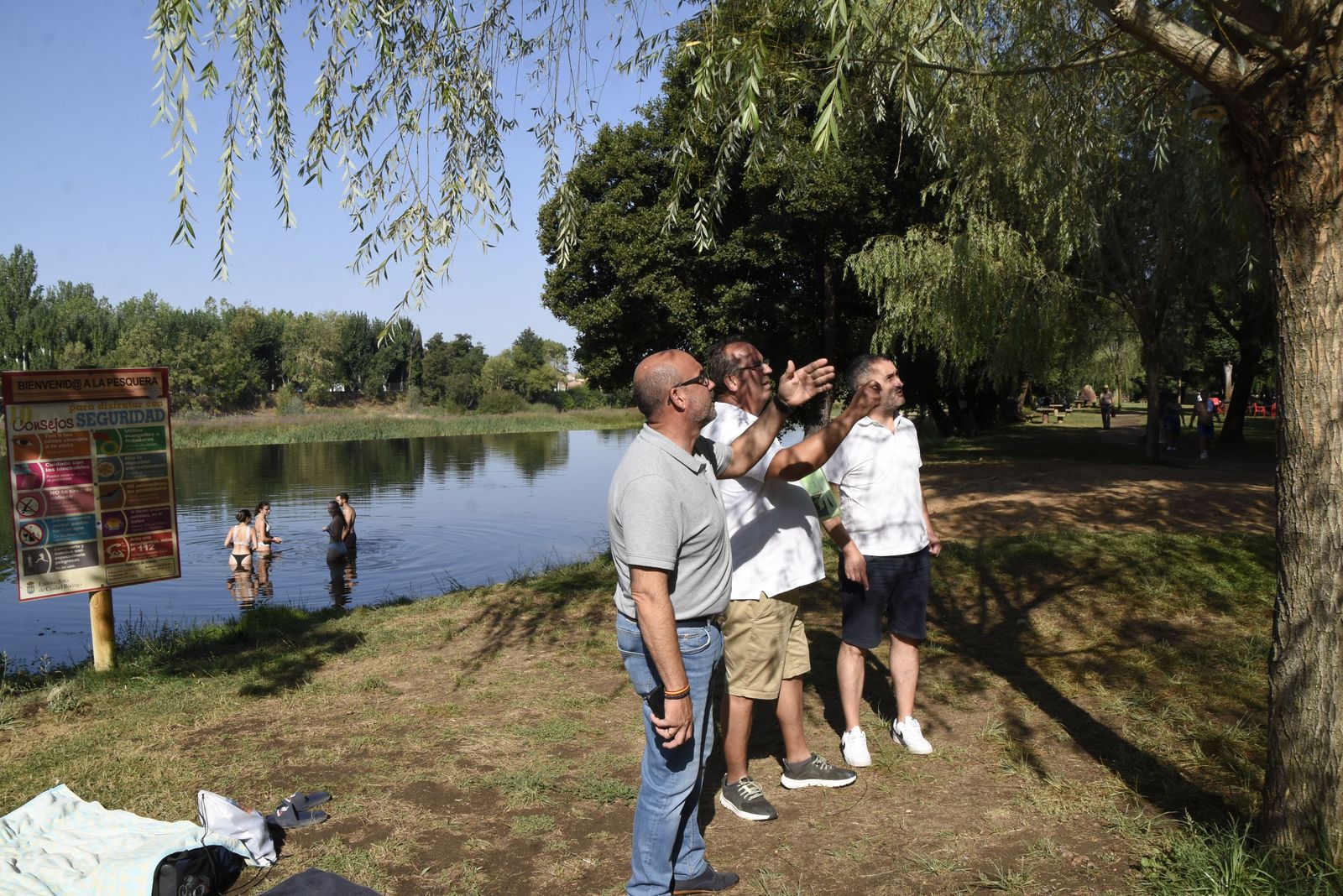 Ciudad Rodrigo Trampas Avispas 