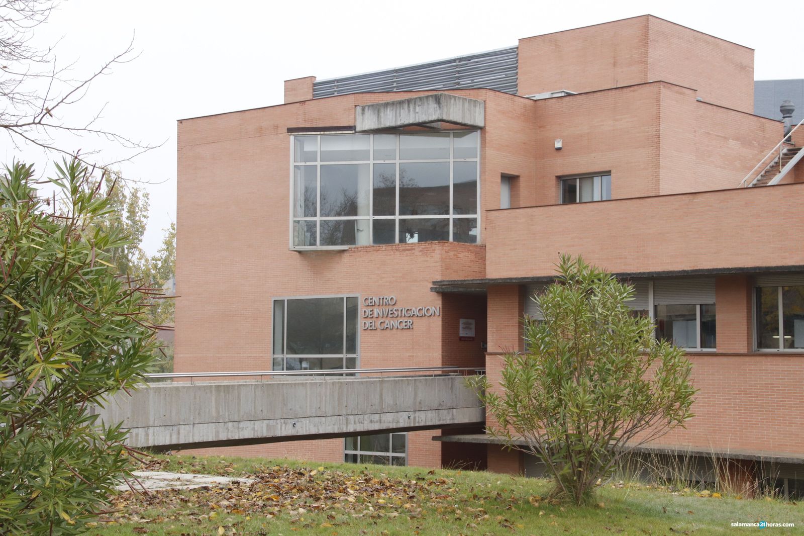 Centro de Investigación del Cáncer, centro mixto del CSIC y la USAL que cuenta con varios de los científicos incluidos en la lista