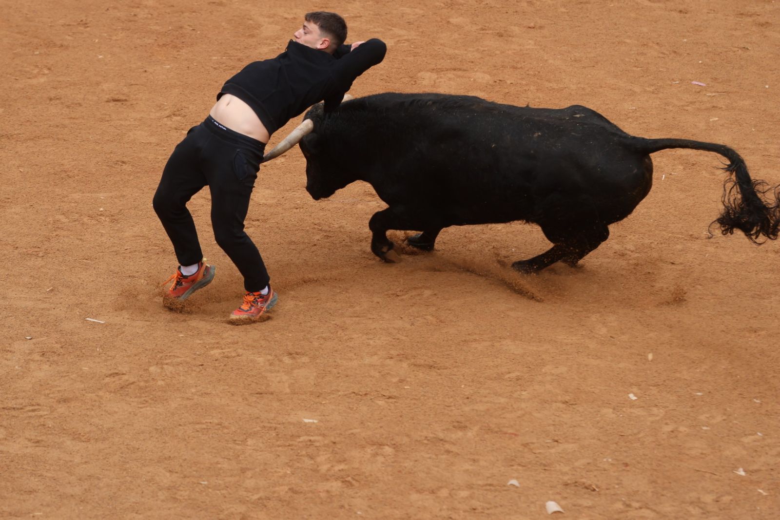 Capea de domingo en el Carnaval del Toro 2026 de Ciudad Rodrigo