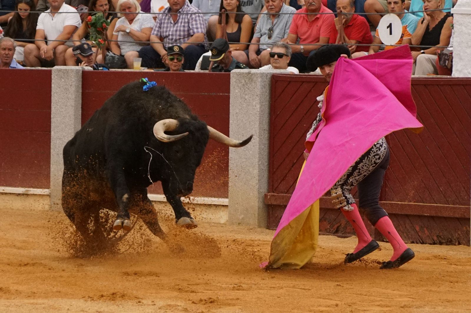 Javier Castaño se despide de Guijuelo y Damián Castaño, su hermano, e Ismael Martín salen a hombros en Guijuelo