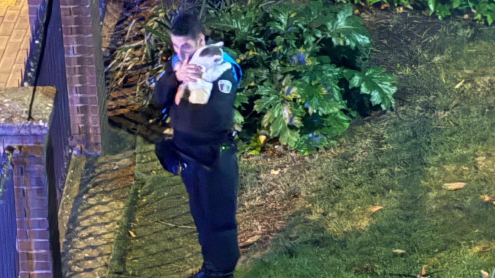 Un agente de la Policía Local con el gato rescatado en sus brazos