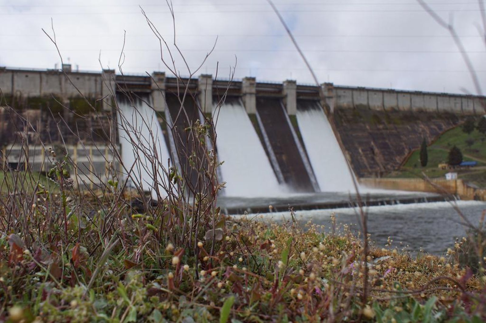 whatsapp-image-2024-03-30-at-10-44-51-1