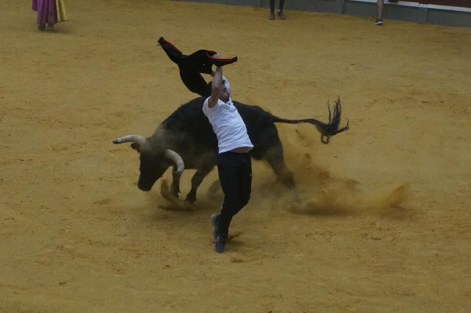 Toro del cajón y capea en Alba de Tormes