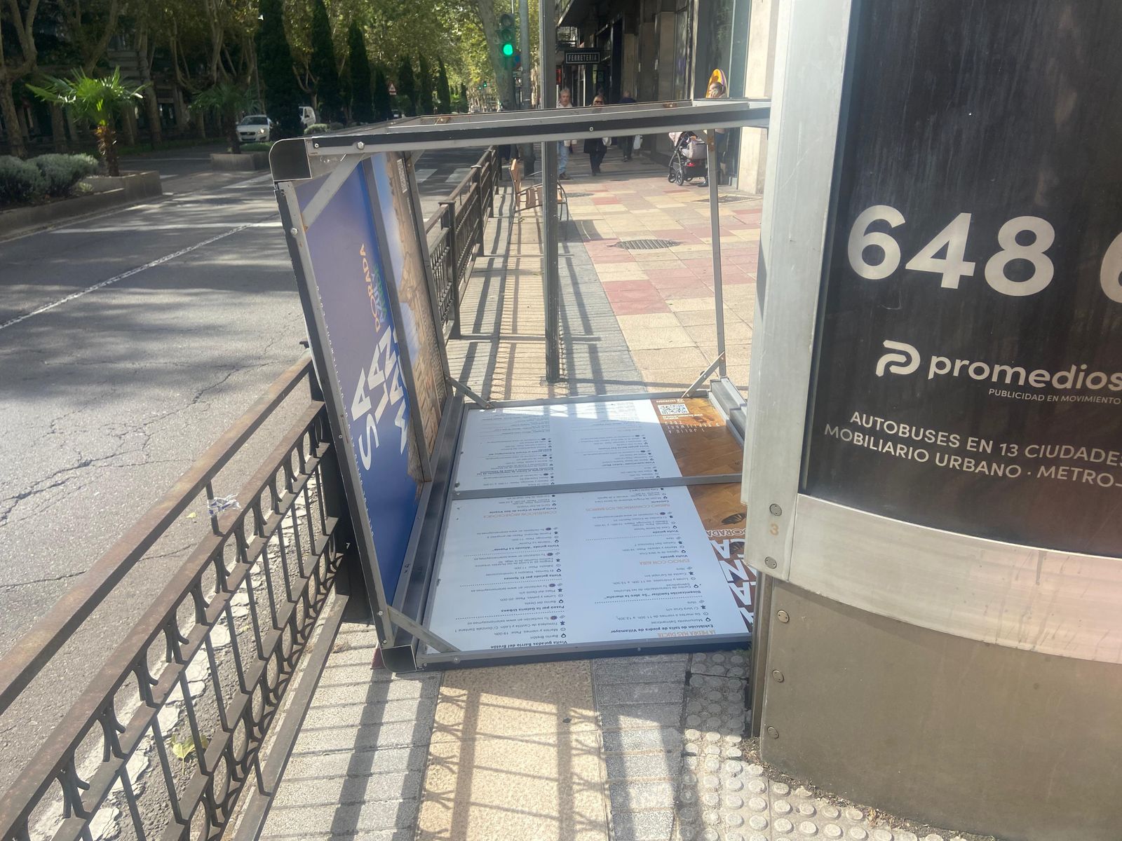 whatsapp-image-2024-10-09-at-13-19-51