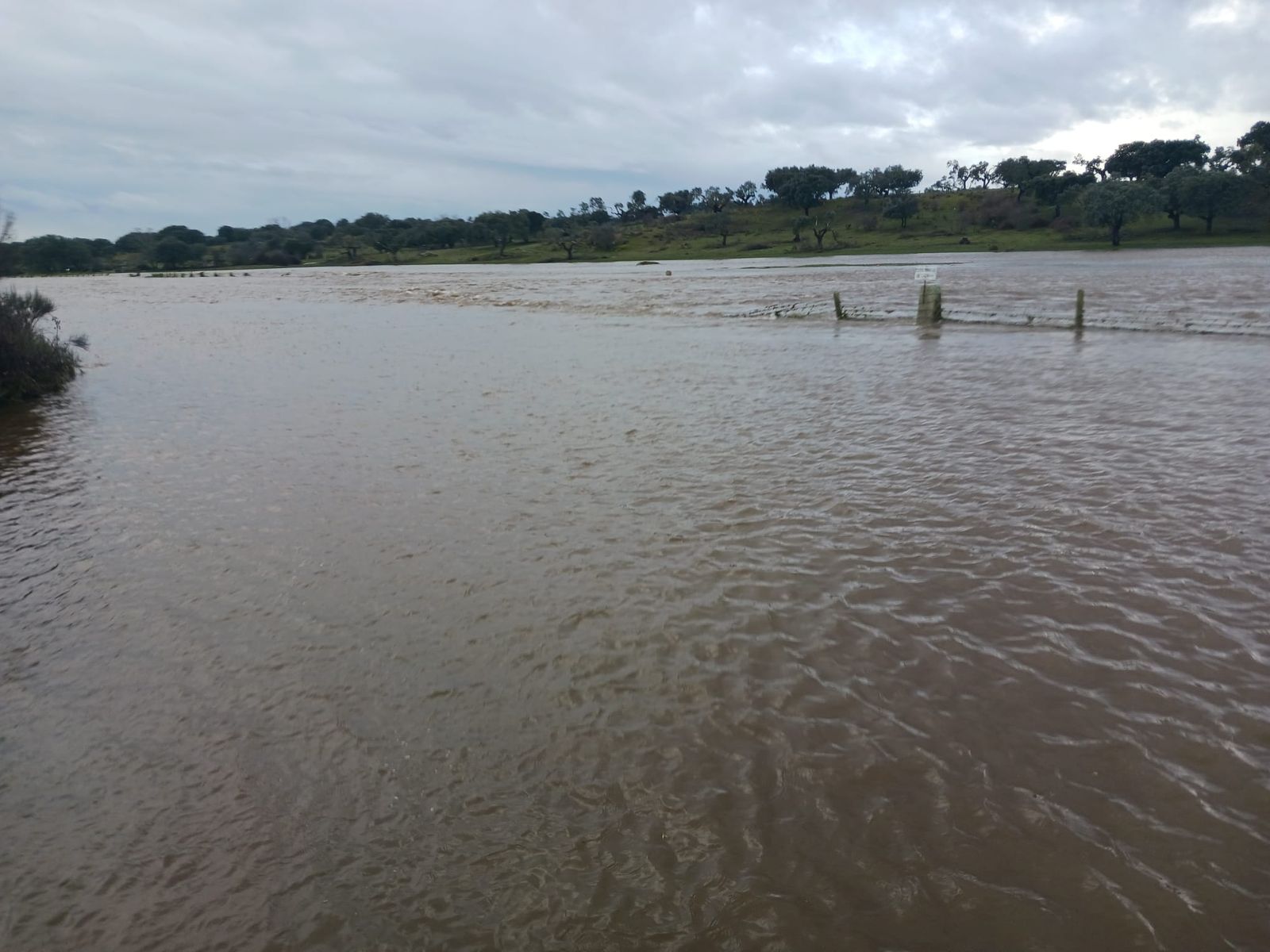 El río Oblea a su paso por la finca 'Rollanejo', entre los municipios de Buenamadre y El Cubo de Don Sancho. Foto S24H