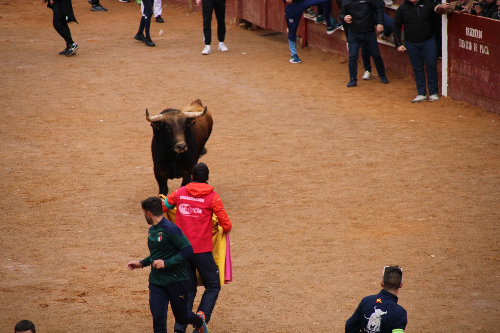 ambiente-durante-el-encierro-urbano-de-ciudad-rodrigo-sabado-10-de-febrero-fotos-s24h-86
