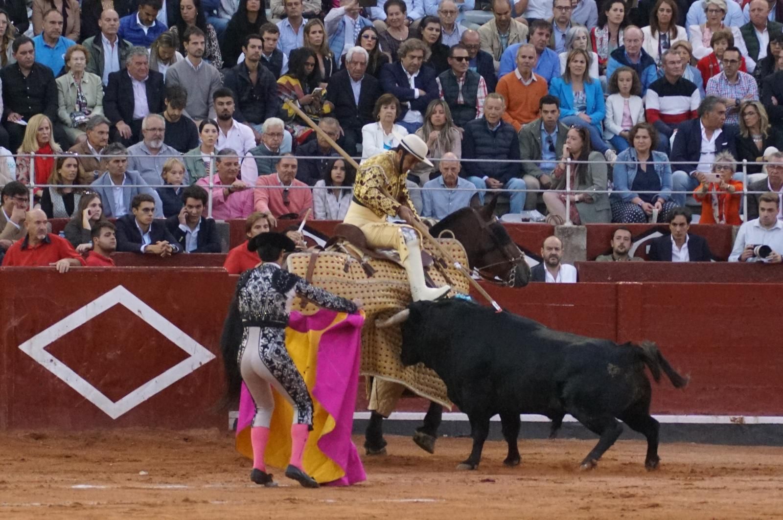 corrida-concurso-momentos-mas-destacados-del-ultimo-festejo-de-abono-de-la-feria-taurina-virgen-de-la-vega-2024-fotos-carlos-h-g-y-juanes-13
