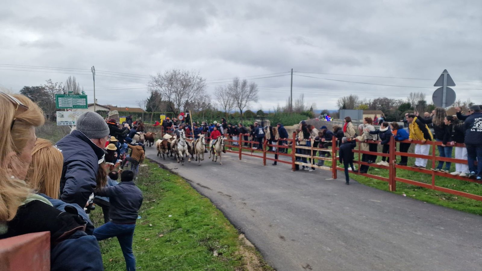 Encierro a Caballo en el Carnaval del Toro 2026 de Ciudad Rodrigo