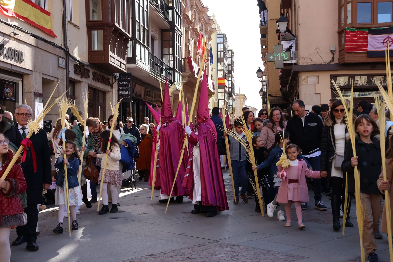 GALERÍA | Revive en imágenes la procesión de La Borriquita