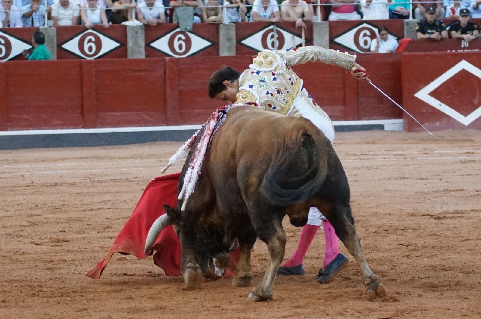Emilio de Justo, Juan Ortega y Roca Rey inauguran el cartel de figuras en la feria de Salamanca: la corrida de Garcigrande en imágenes