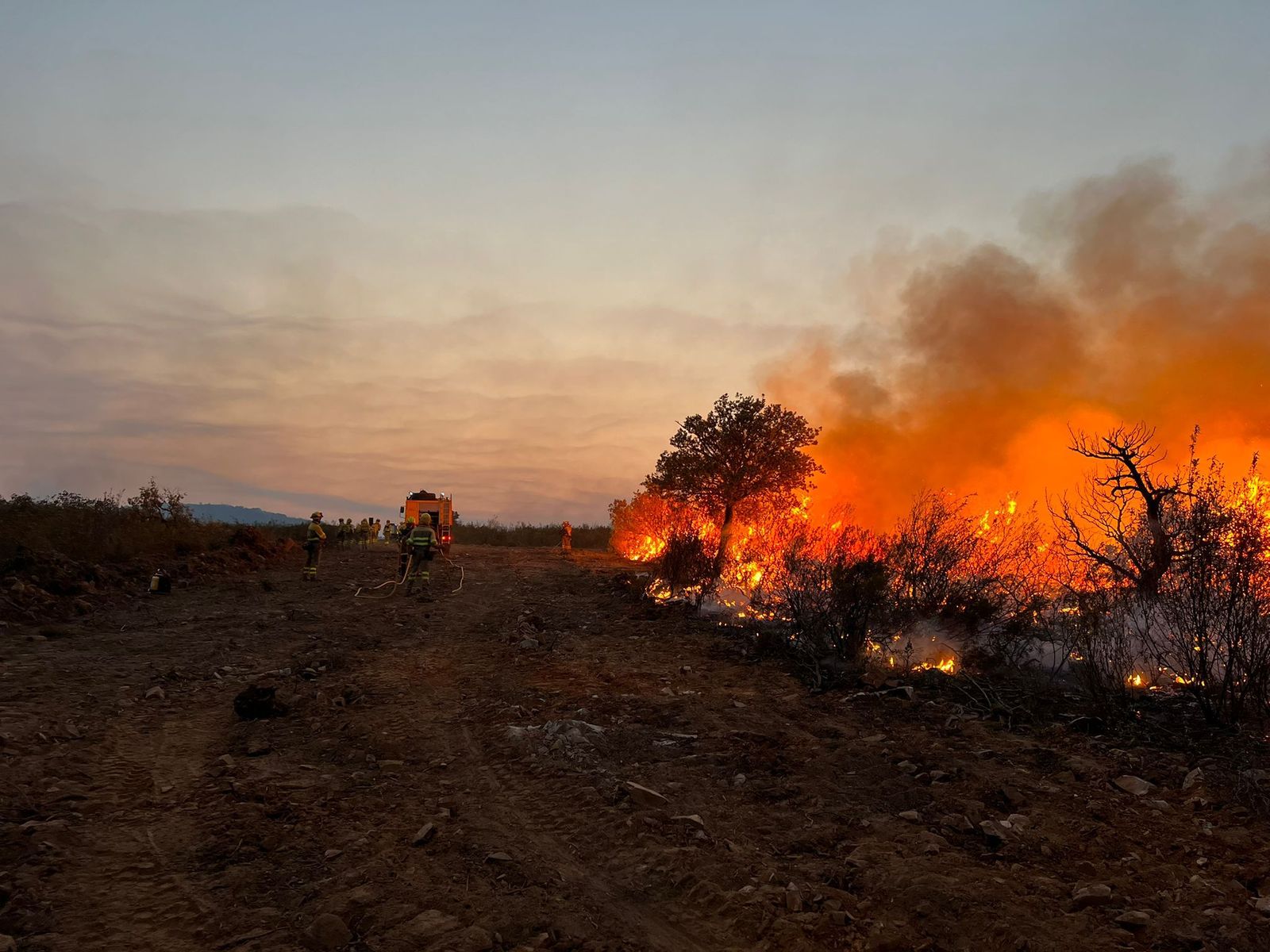 Incendio de Losacio al atardecer este martes. BRIF Tabuyo