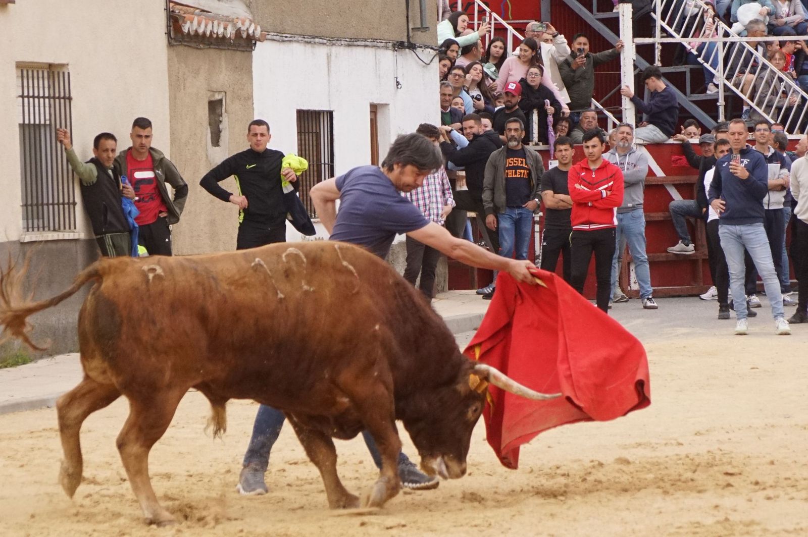 Villoria, toro del Voto