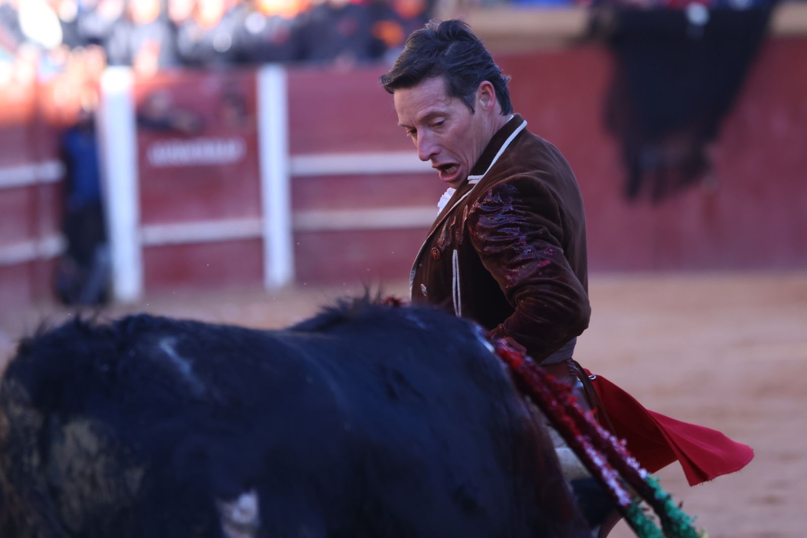 Festival taurino del Sábado en el Carnaval del Toro 2026 de Ciudad Rodrigo