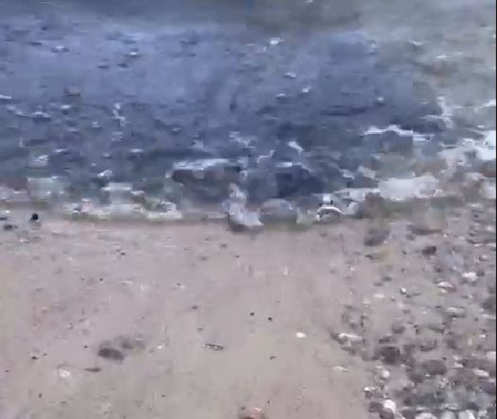 Cenizas de los incendios en el Lago de Sanabria