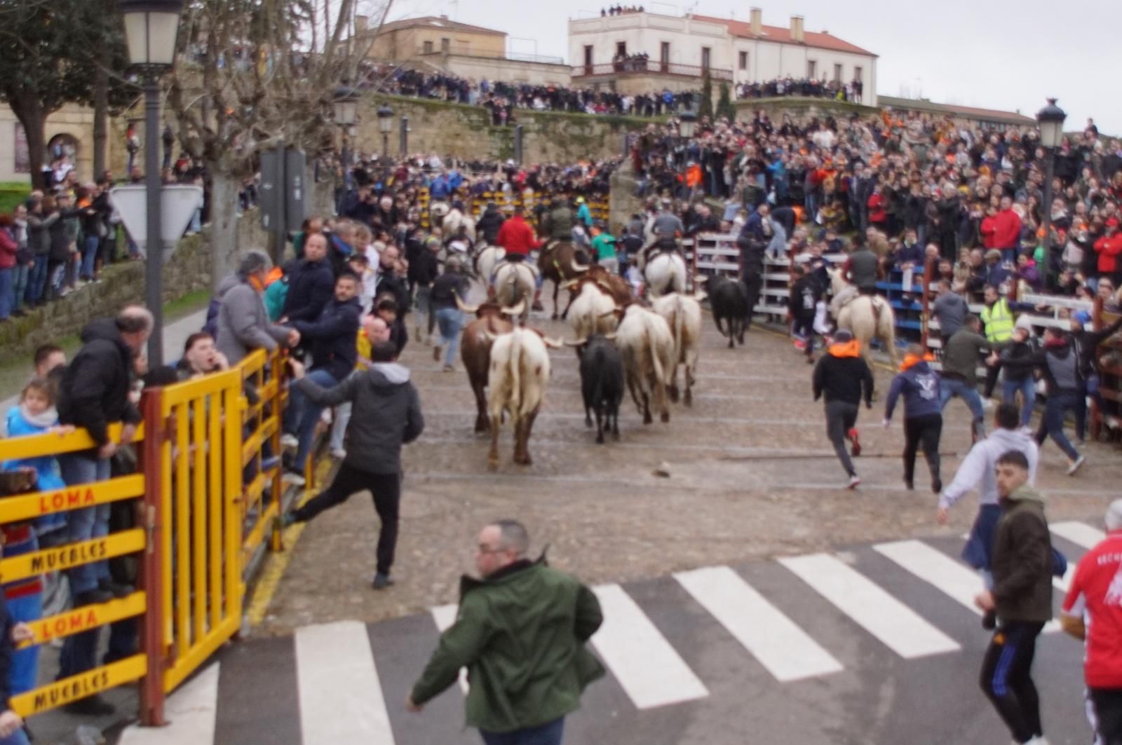 Encierro a Caballo en el Carnaval del Toro 2026 de Ciudad Rodrigo