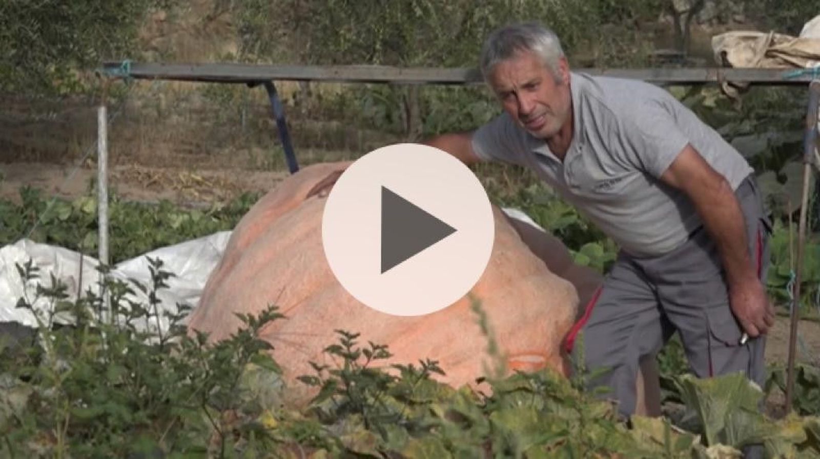 WhatsApp Image 2020 10 06 at 10.42.05