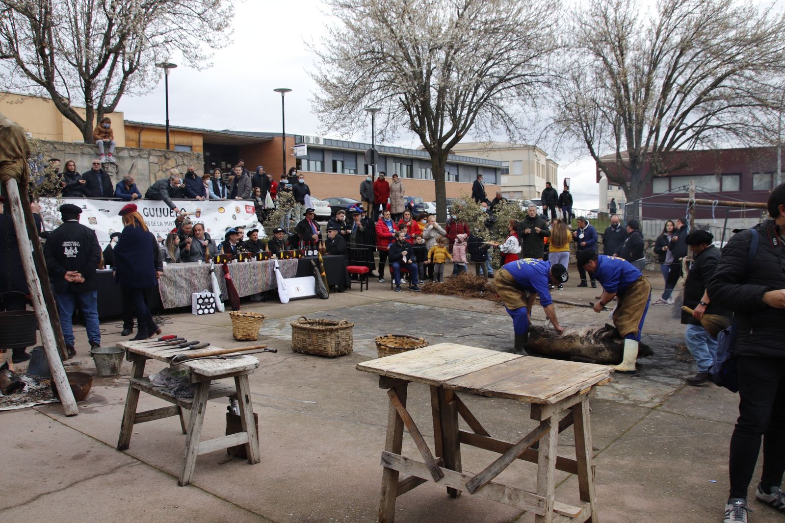 20220226135303-mg-1363