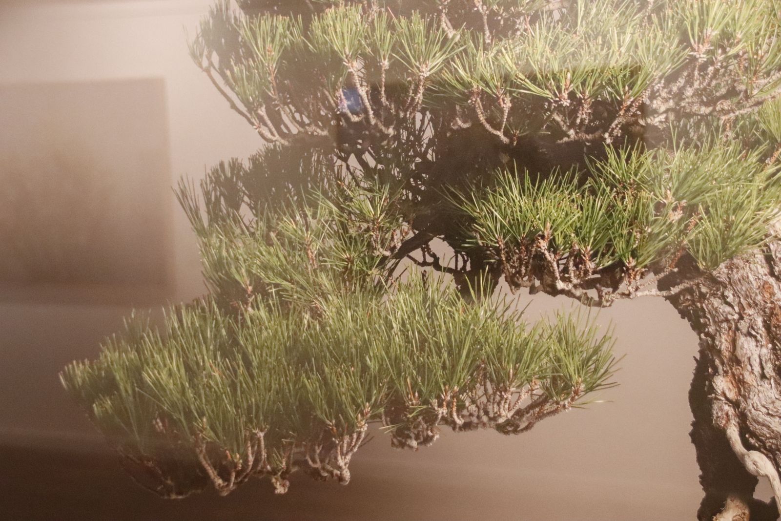 20220120110019-mg-4493