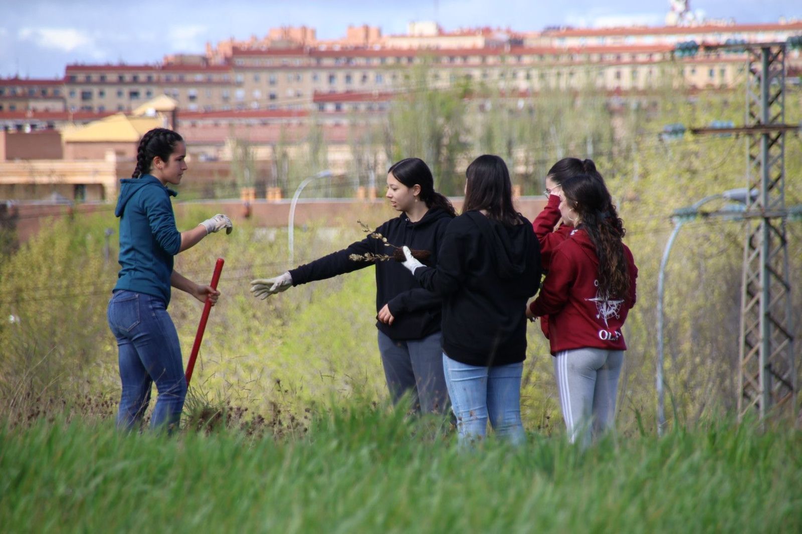 20240407111640-img-6917