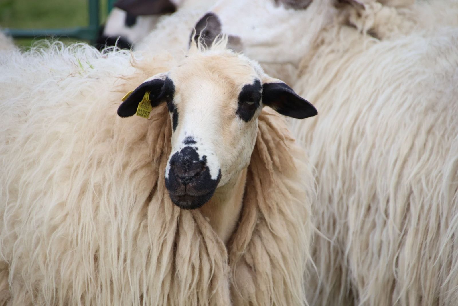 20240501103501-img-2924